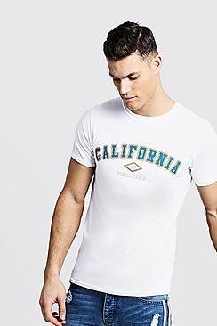 Boohoo Varsity California Crew Neck T-shirt