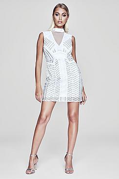 Boohoo Premium Alice Sheer Back Embellished Mini Dress