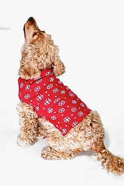 Boohoo Isabella Snowflake Dog Christmas Jumper