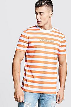 Boohoo Crew Neck Stripe T-shirt With Slogan Embroidery