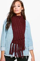 Boohoo Zoe Chunky Knit Tassel Edge Scarf Burgundy