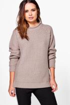 Boohoo Emily Textured Chunky Jumper Dove
