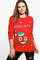 Boohoo Daisy Poo Emoji Christmas Jumper