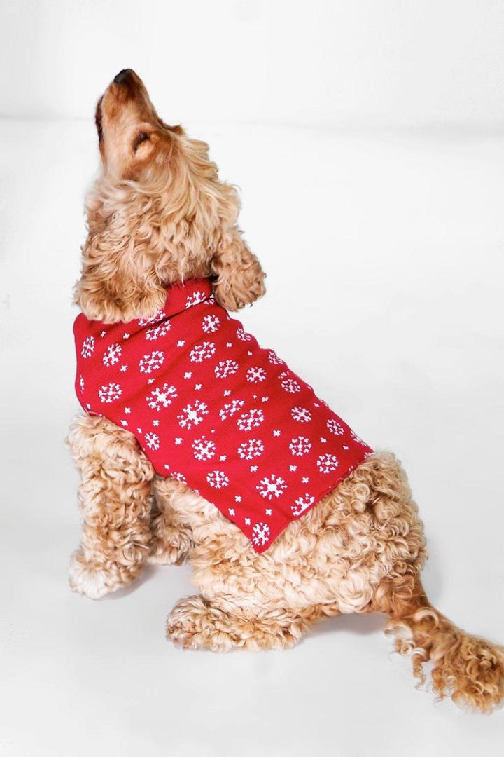 Boohoo Isabella Snowflake Dog Christmas Jumper Red