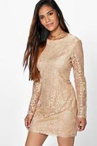 Boohoo Aleesha Metallic Lace Bodycon Dress