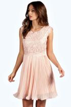 Boohoo Boutique Elizabeth Corded Lace Pleated Skater Dress Blush