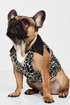 Boohoo Leopard Print Dog Denim Jacket