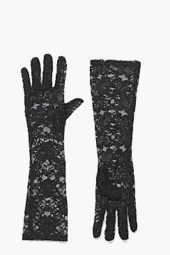 Boohoo Halloween Natalia Long Length Lace Gloves