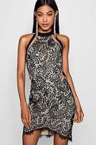 Boohoo Nia Lace High Neck Pannelled Bodycon Dress
