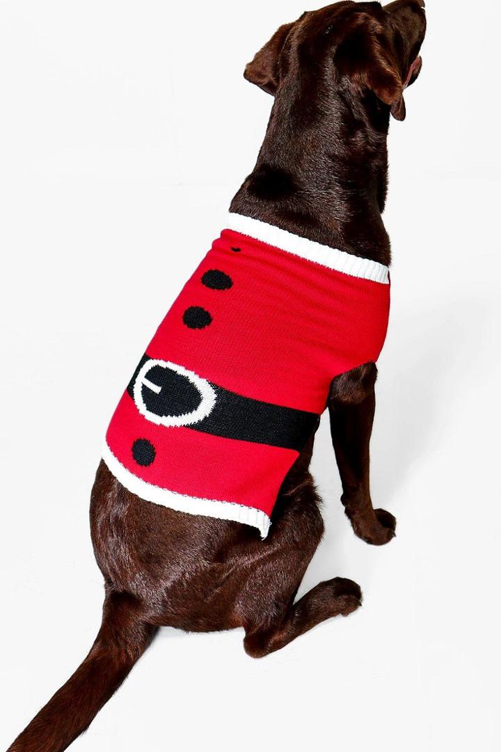 Boohoo Ava Father Christmas Suit Dog Jumper Red