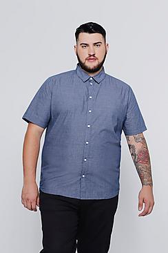 Boohoo Big And Tall Short Sleeve Mini Check Shirt