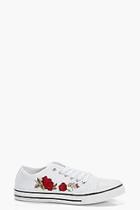 Boohoo Este Embroidered Lace Up Canvas Trainer