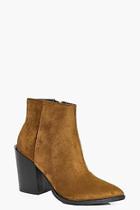Boohoo Frances Pointed Block Heel Ankle Boot