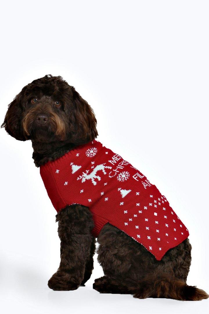 Boohoo Lassie Merry Xmas Ya Filthy Animal Dog Jumper Red