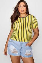 Boohoo Plus Lottie Stripe Jersey Tee