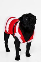 Boohoo Novelty Santa Hooded Dog Fancy Dress Outfit