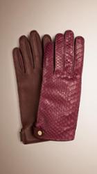 Burberry Python And Lambskin Gloves