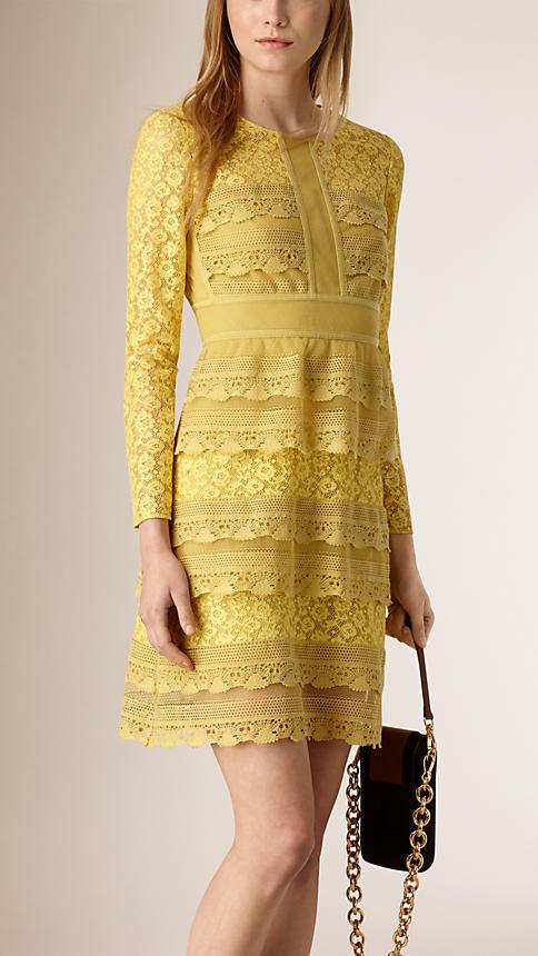 Burberry Prorsum Japanese Lace Babydoll Dress