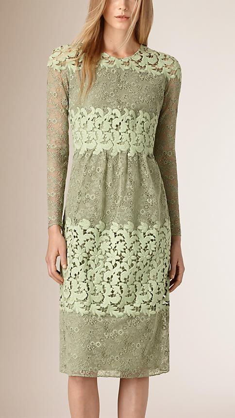 Burberry Prorsum Floral Lace And Macram Dress