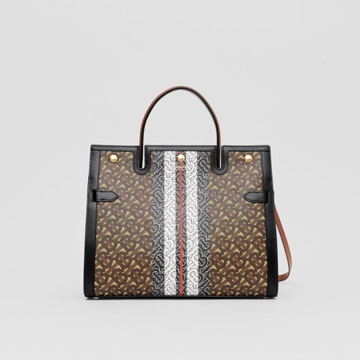 Burberry Burberry Medium Monogram Stripe E-canvas Title Bag, Brown