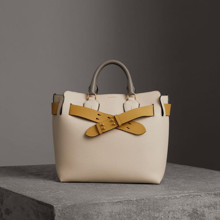 Burberry Burberry The Medium Tri-tone Leather Belt Bag