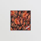 Burberry Burberry Octopus And Logo Graphic Print Silk Square Scarf, Red
