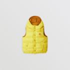 Burberry Burberry Childrens Reversible Showerproof Down-filled Hooded Gilet, Size: 14y, Yellow