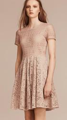 Burberry Floral And Mesh Lace Dress