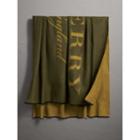 Burberry Burberry Lettering Print Cashmere Scarf, Green