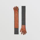 Burberry Burberry Cashmere And Lambskin Longline Gloves
