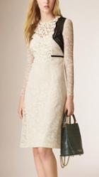 Burberry Prorsum Floral Lace And Mesh A-line Dress
