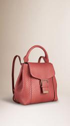 Burberry Python Backpack