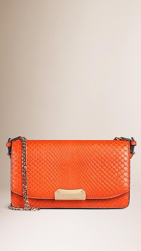 Burberry Small Python Clutch Bag With Chain