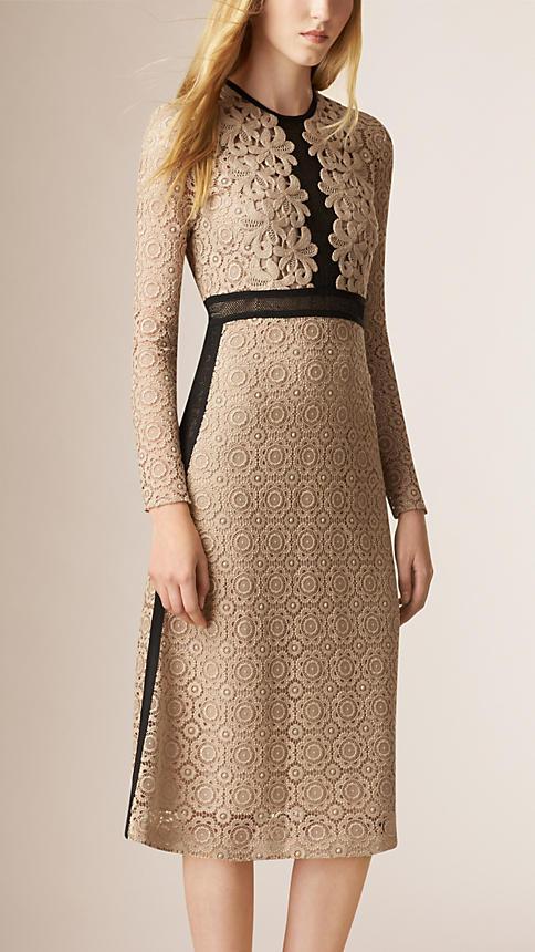 Burberry Prorsum Lace And Mesh Panel Cotton Blend Dress