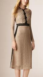 Burberry Prorsum Lace And Mesh Panel Cotton Blend Dress