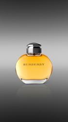 Burberry Burberry For Women Eau De Parfum 100ml