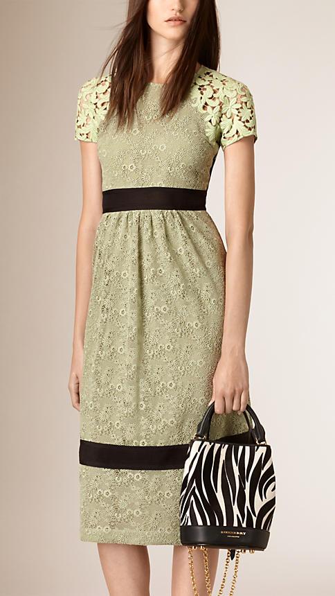 Burberry Prorsum Macram Lace Panel Dress