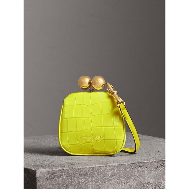 Burberry Burberry Mini Alligator Metal Frame Clutch Bag