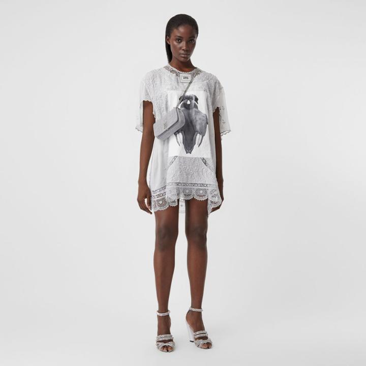 Burberry Burberry Lace Trim Swan Print Embroidered Cotton Dress, Size: 02, Grey