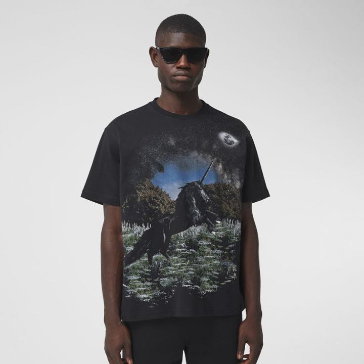 Burberry Burberry Meadow Print Cotton Oversized T-shirt, Black