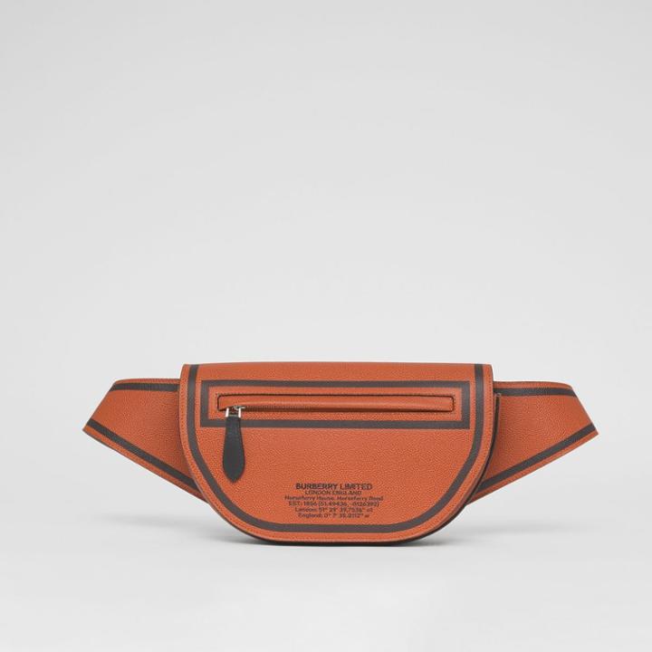 Burberry Burberry Small Location Print Leather Olympia Bum Bag