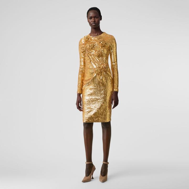 Burberry Burberry Hand-gathered Detail Sequinned Dress, Size: 06, Honey
