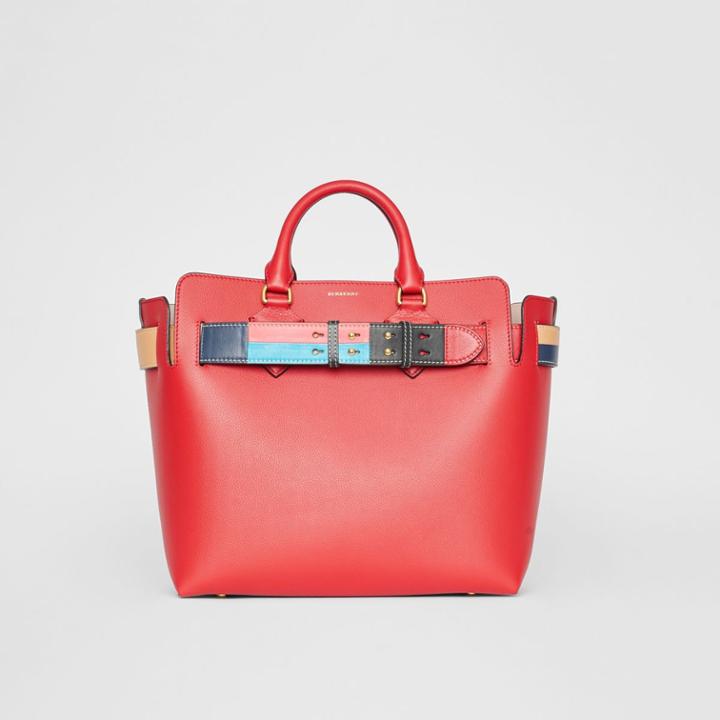 Burberry Burberry The Medium Leather Colour Block Detail Belt Bag, Pink