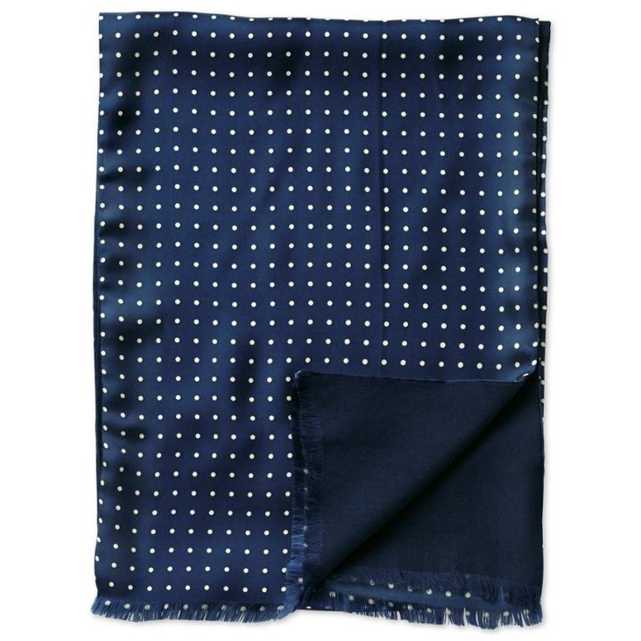 Charles Tyrwhitt Charles Tyrwhitt Navy Dot Silk Scarf