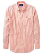 Charles Tyrwhitt Charles Tyrwhitt Extra Slim Fit Non-iron Oxford Orange Bengal Stripe Cotton Dress Shirt Size Large