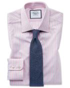  Slim Fit Egyptian Cotton Poplin Pink Stripe Dress Shirt Single Cuff Size 15/33 By Charles Tyrwhitt