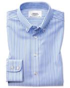 Charles Tyrwhitt Extra Slim Fit Button-down Non-iron Sky Blue Stripe Check Cotton Dress Casual Shirt Single Cuff Size 14.5/32 By Charles Tyrwhitt
