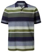  Olive Multi Stripe Oxford Pique Cotton Polo Size Medium By Charles Tyrwhitt