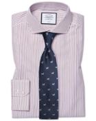  Extra Slim Fit Cutaway Collar Non-iron Stripe Purple Cotton Dress Shirt Single Cuff Size 14.5/32 By Charles Tyrwhitt