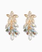 Charming Charlie Pav Briolette Starfish Earrings